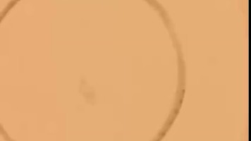 Bokep Premium Sex Gangguin Kakak Tiri Lagi Tidur